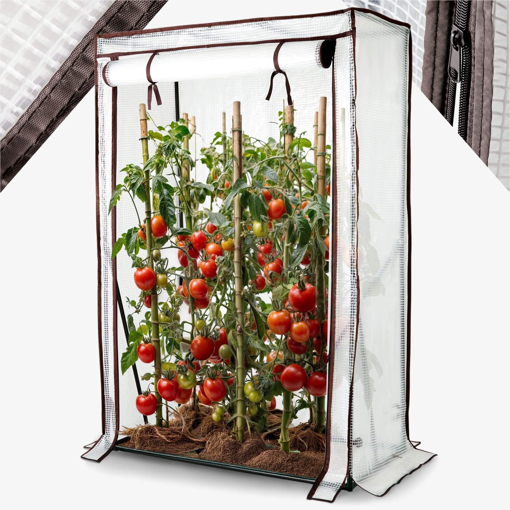 Arebos tomato greenhouse 100 x 50 x 150 cm | Weatherproof | Roll-up door with zip fastener | Sturdy construction