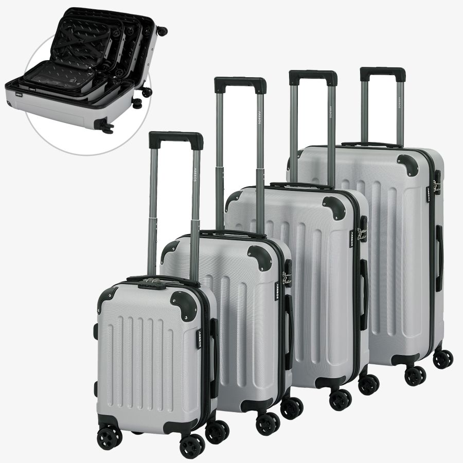 4 Piece Travel Case Set Silver