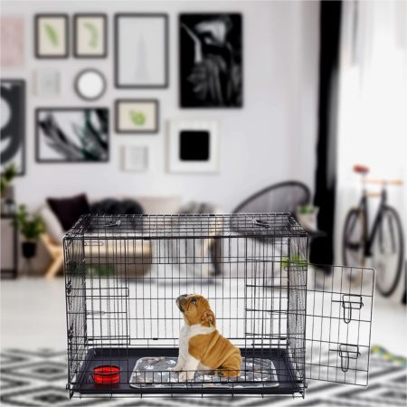 Dog in the cage online